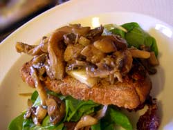 Mushroom bruschetta